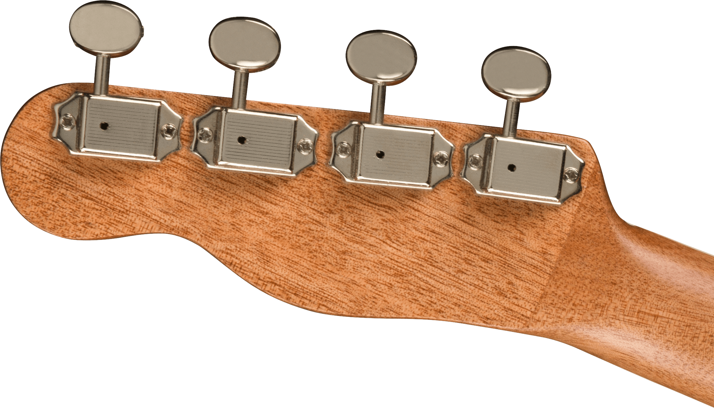 Fender Zuma Exotic Concert Ukulele, Walnut Fingerboard, Bocote