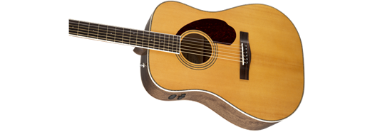 Fender PM-1 STANDARD DREADNOUGHT, NATURAL