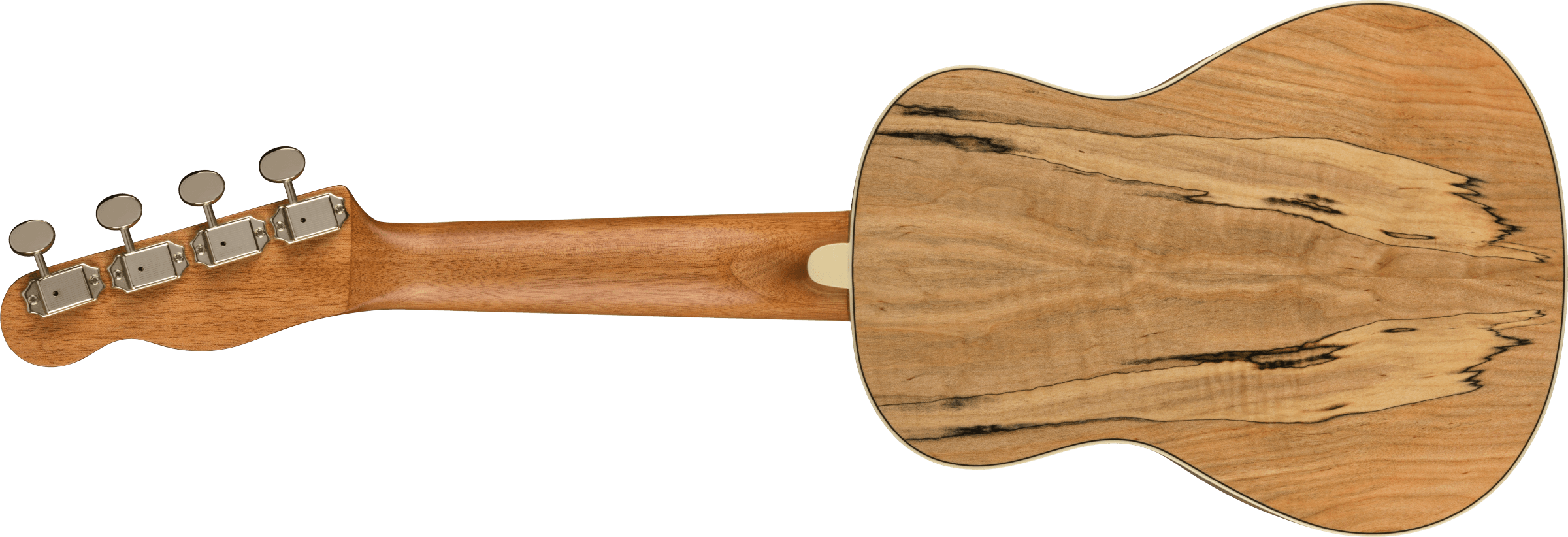 Fender Zuma Exotic Concert Ukulele, Walnut Fingerboard, Spalted Maple