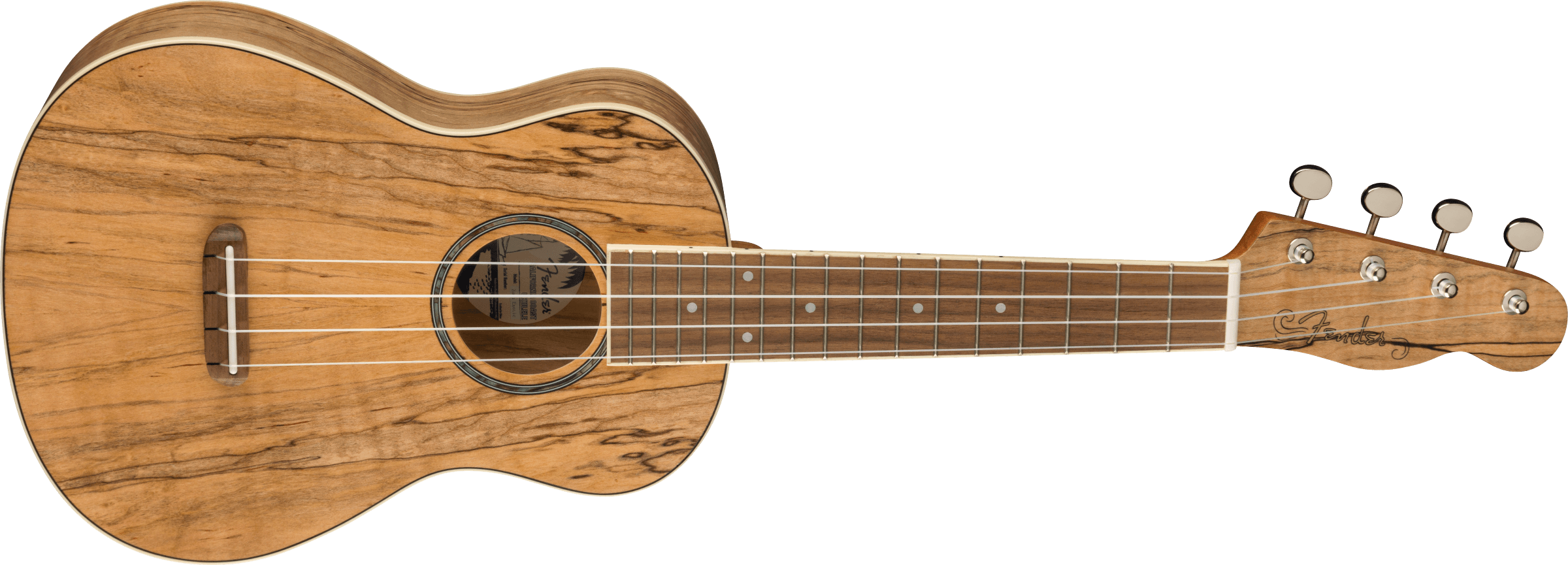 Fender Zuma Exotic Concert Ukulele, Walnut Fingerboard, Spalted Maple