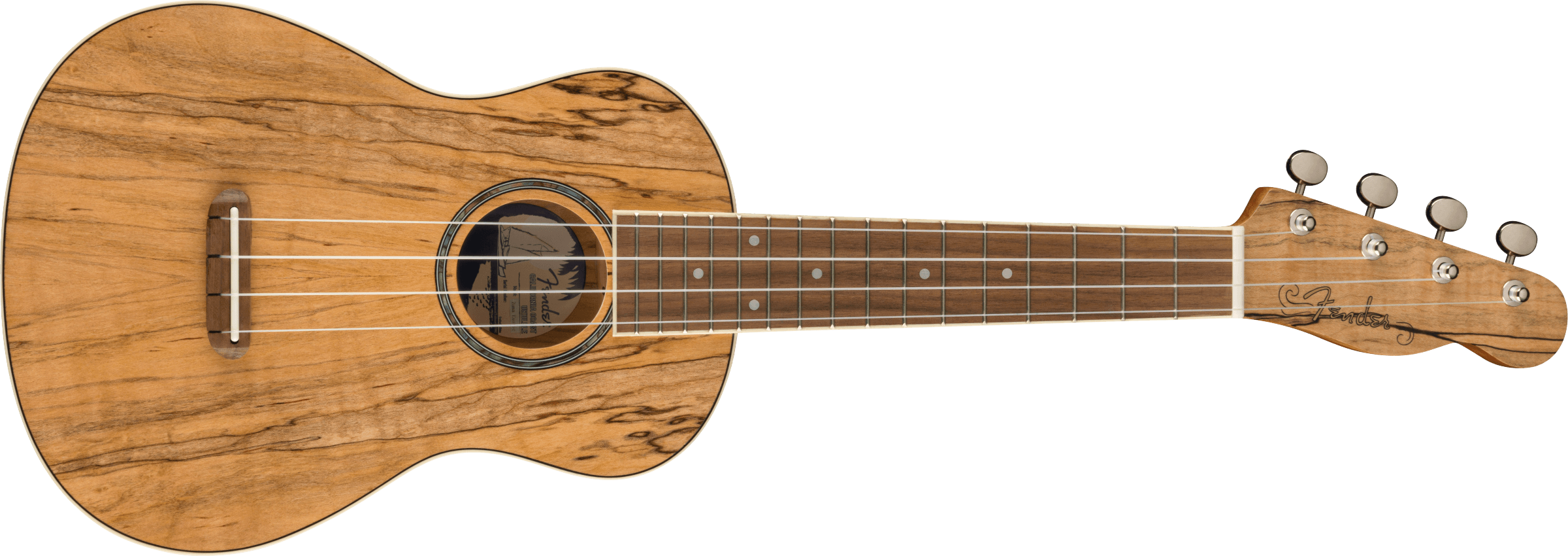 Fender Zuma Exotic Concert Ukulele, Walnut Fingerboard, Spalted Maple