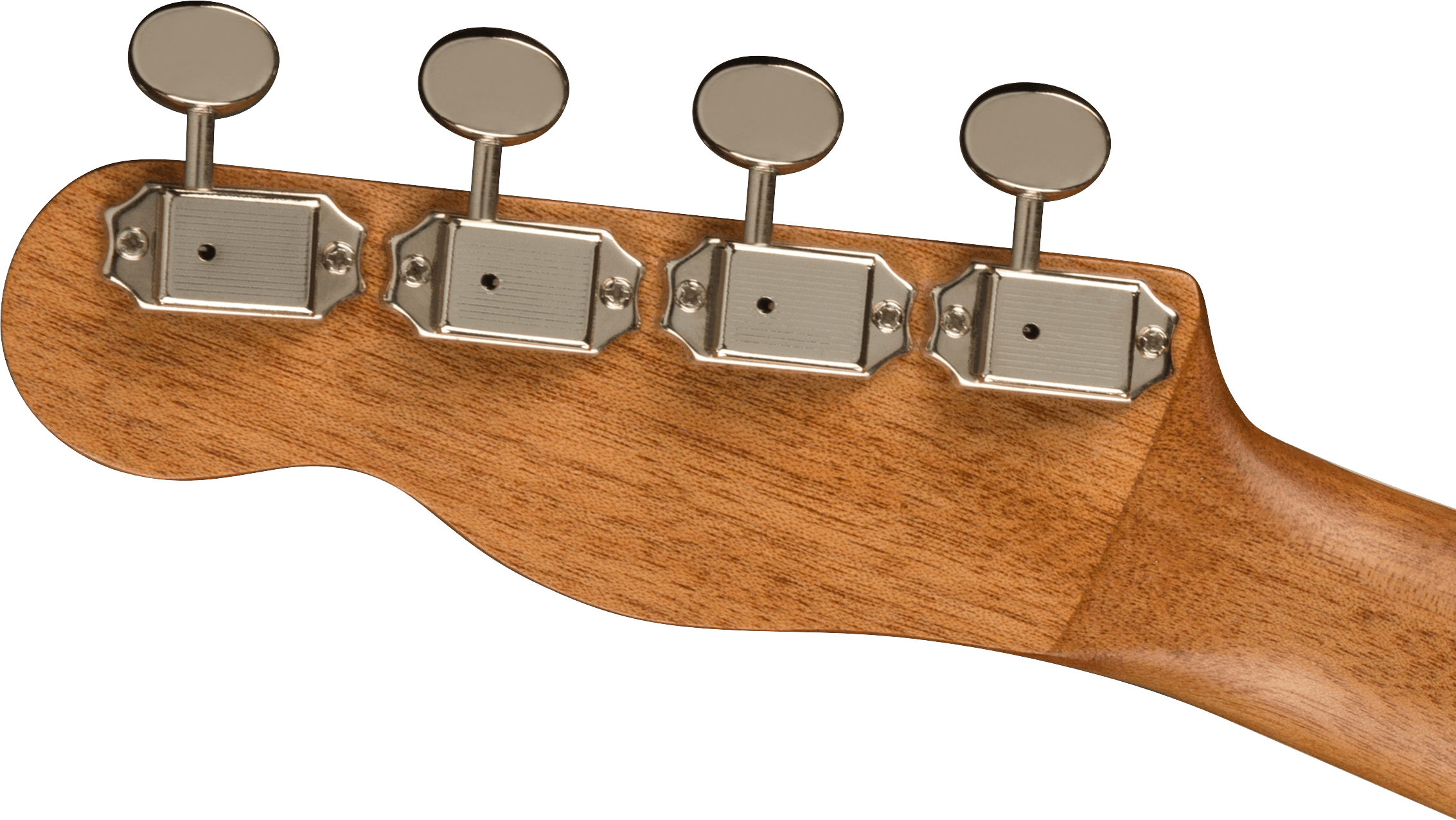 Fender Zuma Exotic Concert Ukulele, Walnut Fingerboard, Spalted Maple