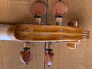 D Z Strad Model 609 Professional Handmade Violin Outfit (Soil Copy)