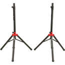 Compact Speaker Stands w/Bag