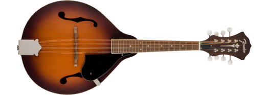 PM-180E Mandolin