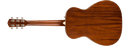 PR-180E Resonator, Walnut Fingerboard, Aged Cognac Burst