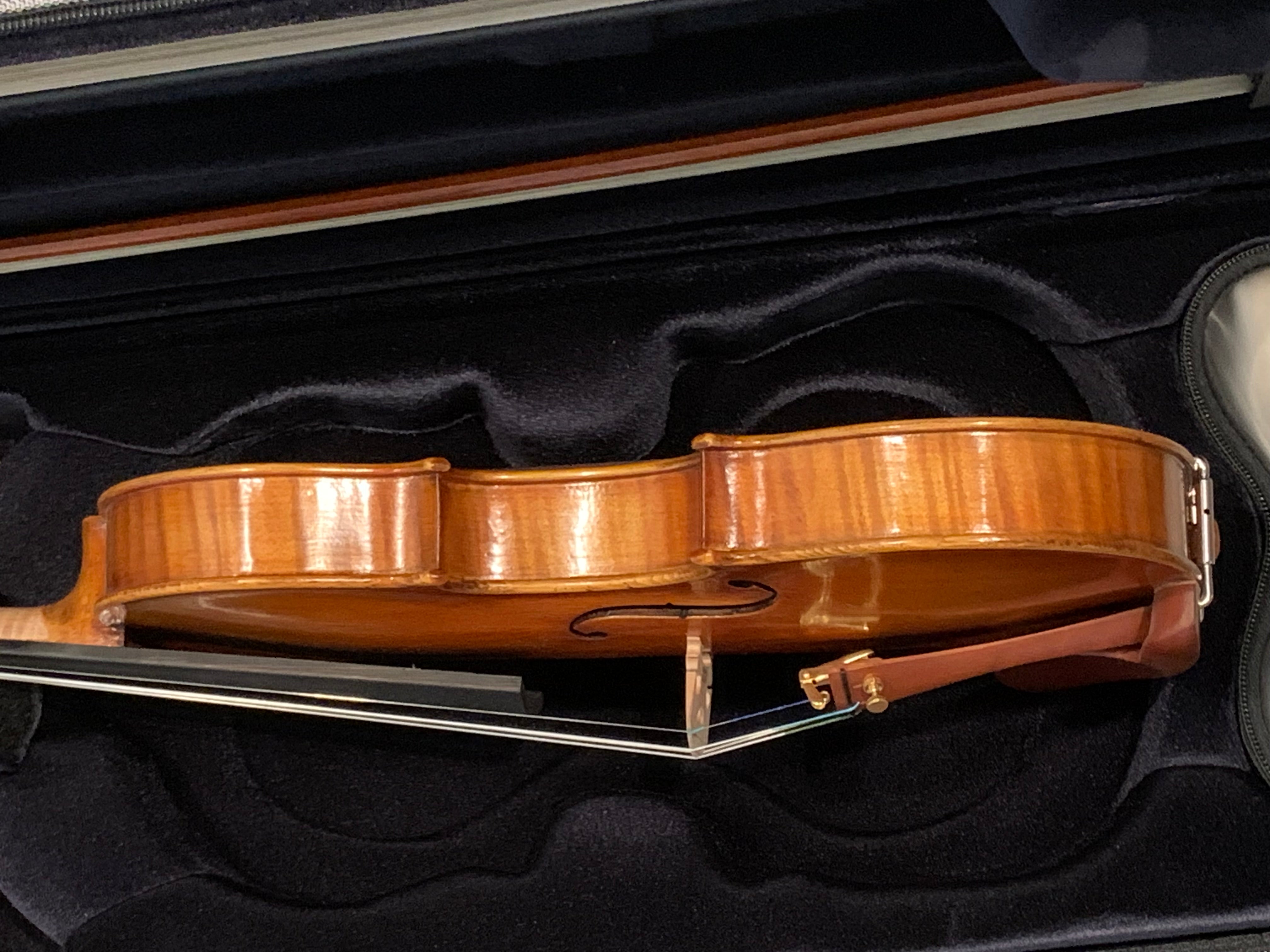 D Z Strad Model 609 Professional Handmade Violin Outfit (Soil Copy)