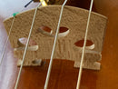 D Z Strad Model 609 Professional Handmade Violin Outfit (Soil Copy)
