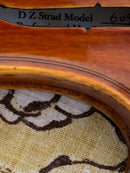 D Z Strad Model 609 Professional Handmade Violin Outfit (Soil Copy)