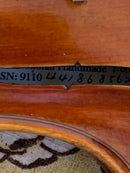 D Z Strad Model 609 Professional Handmade Violin Outfit (Soil Copy)