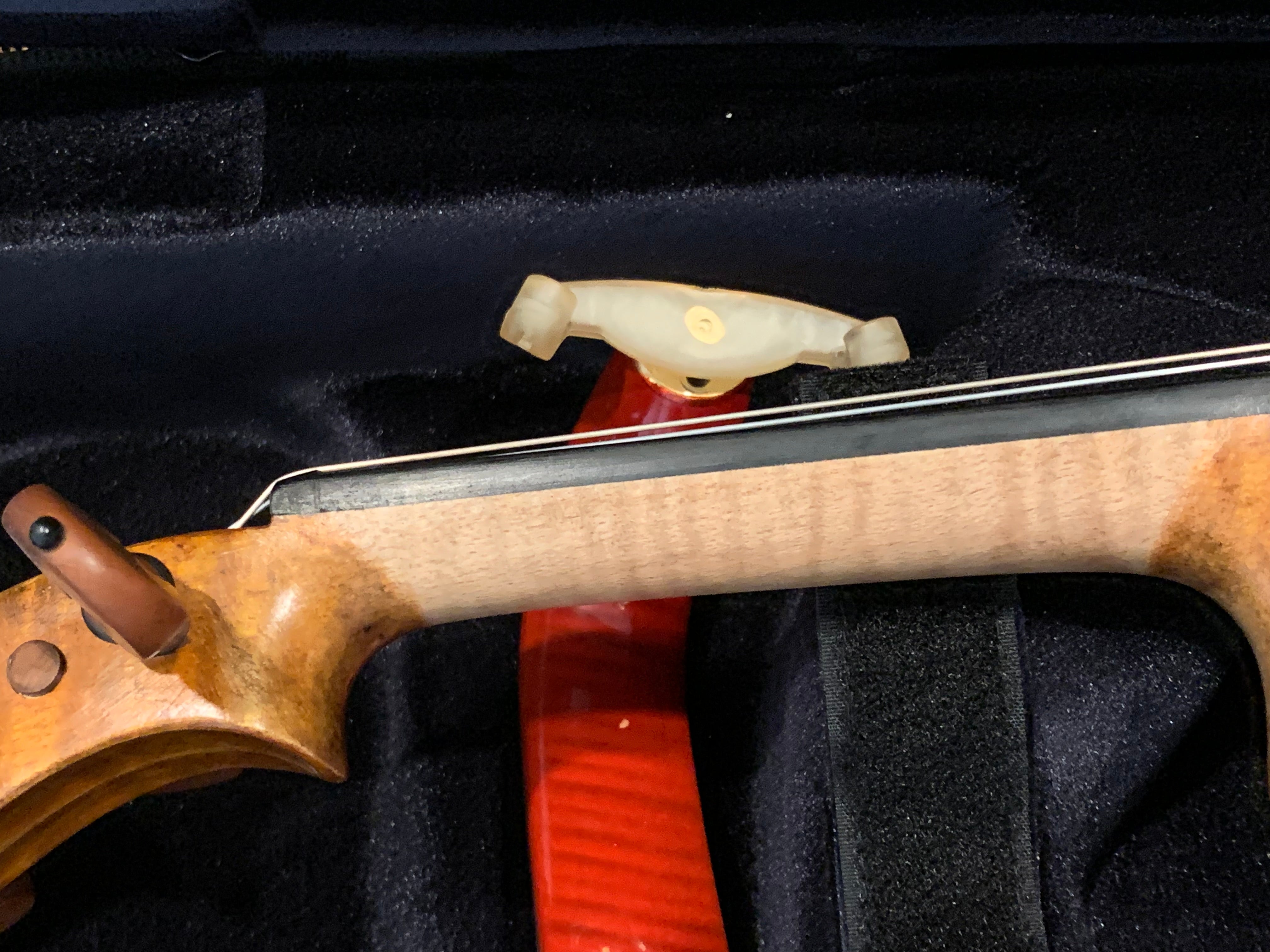 D Z Strad Model 609 Professional Handmade Violin Outfit (Soil Copy)
