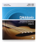 D'Addario EPBB170 Phosphor Bronze Acoustic Bass Guitar Strings - .045-.100 Regular Light Long Scale 4-string