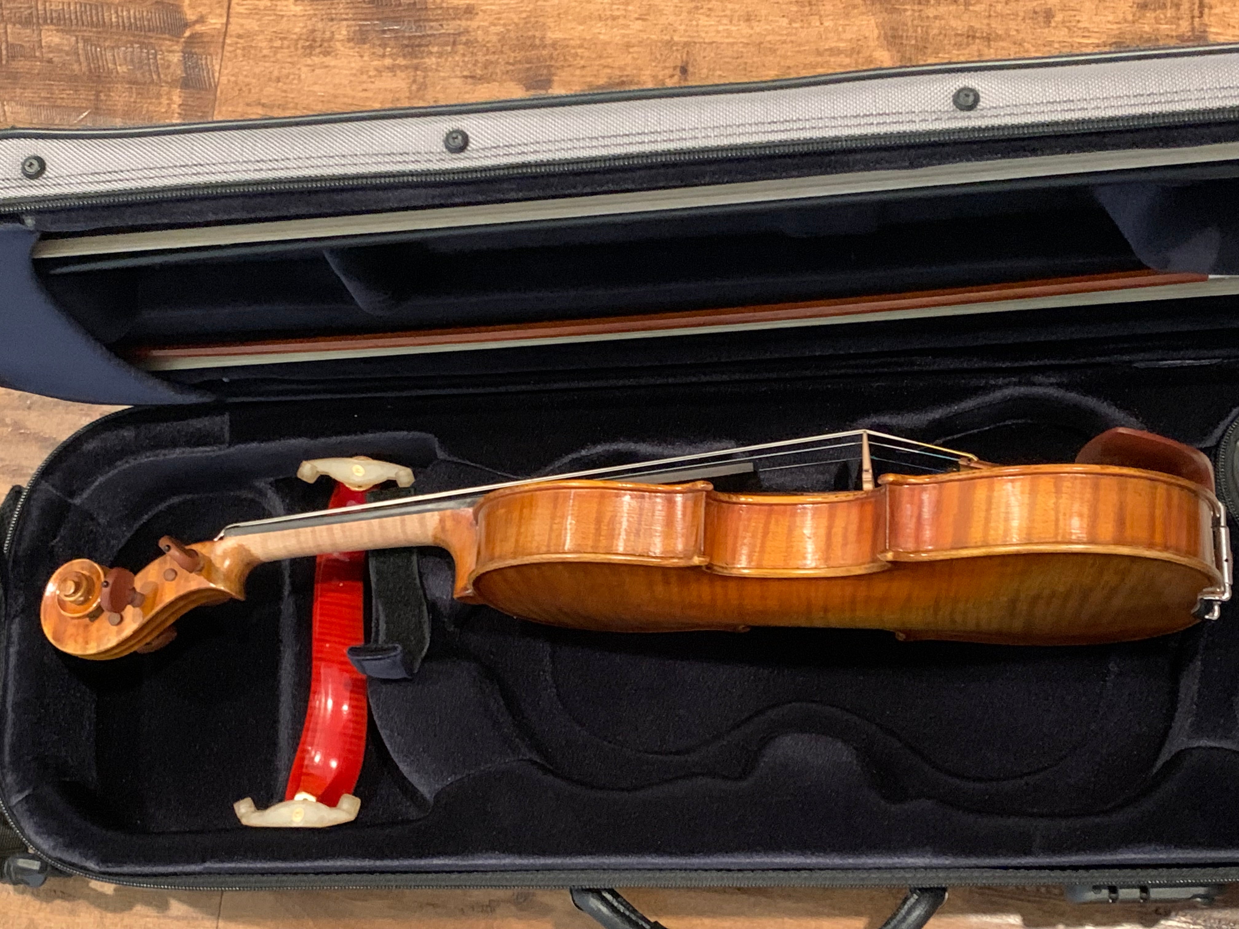 D Z Strad Model 609 Professional Handmade Violin Outfit (Soil Copy)