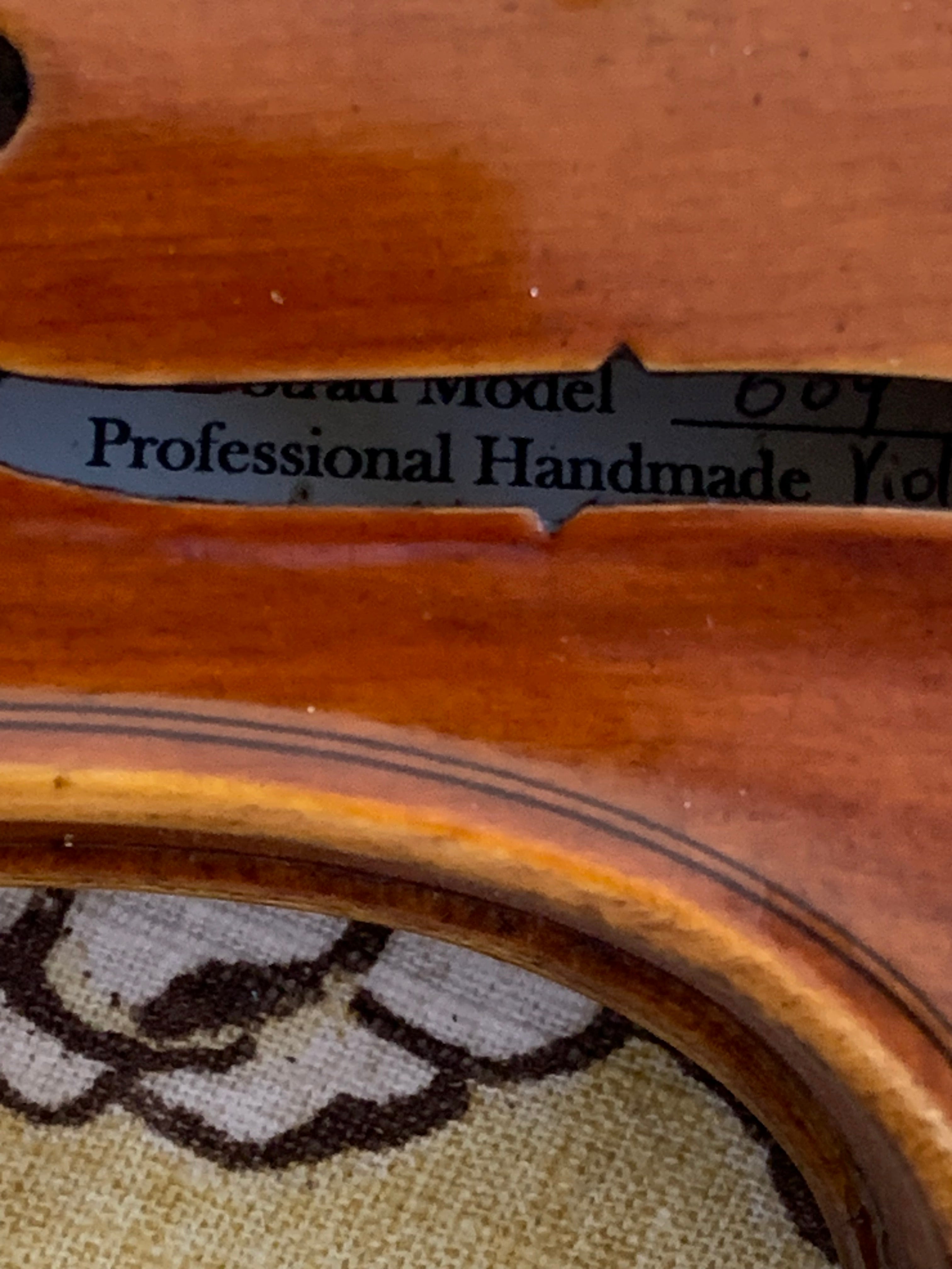 D Z Strad Model 609 Professional Handmade Violin Outfit (Soil Copy)