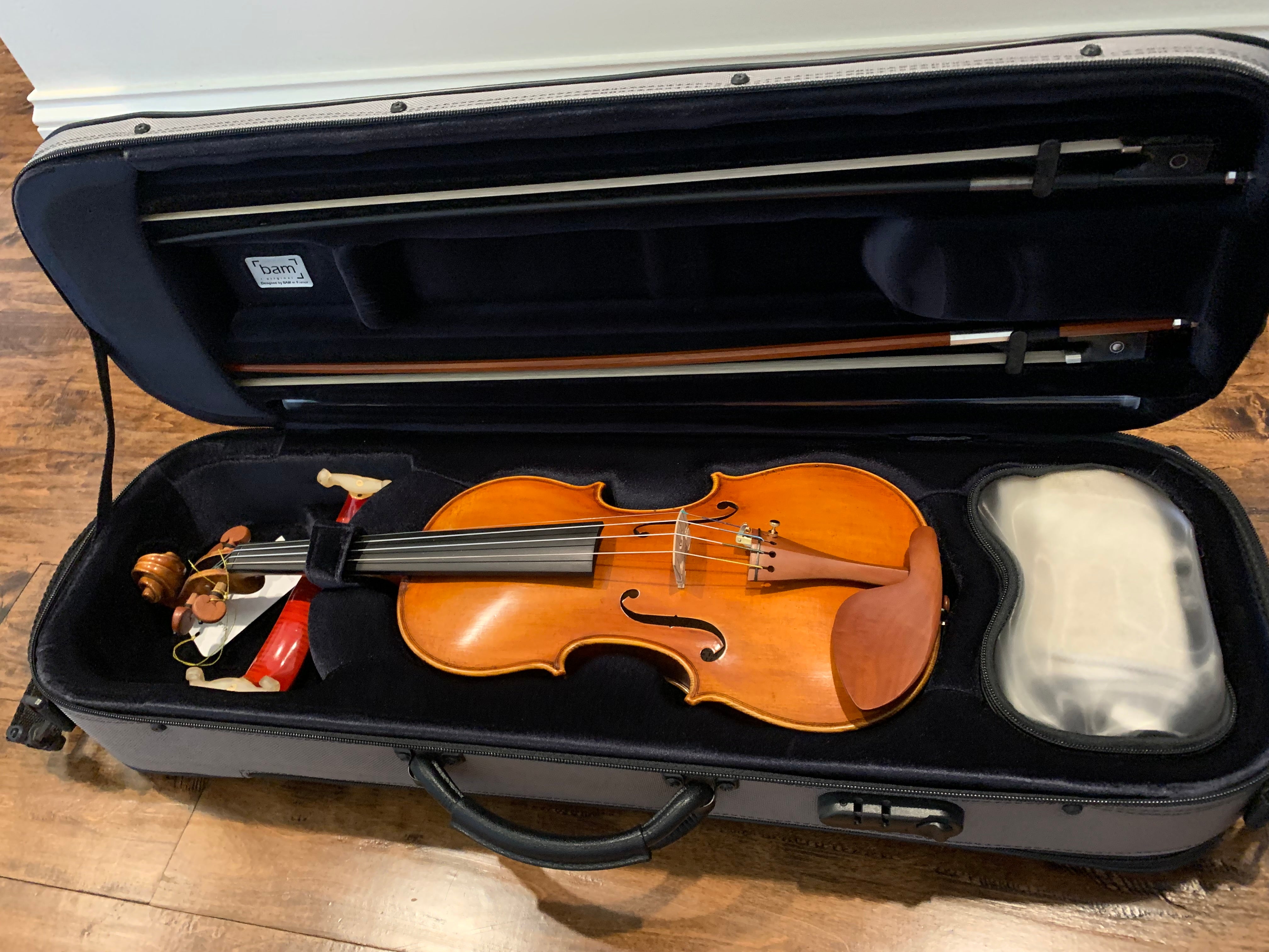 D Z Strad Model 609 Professional Handmade Violin Outfit (Soil Copy)