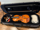 D Z Strad Model 609 Professional Handmade Violin Outfit (Soil Copy)