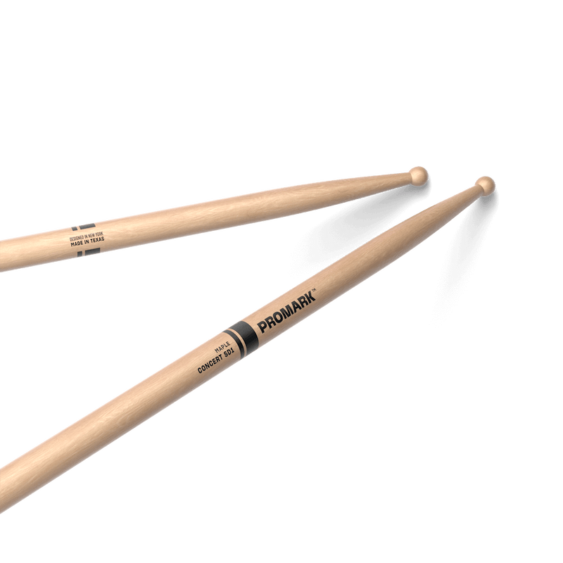 Concert SD1 Lacquered Maple