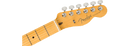 Fender American Professional II Telecaster® - Butterscotch Blonde