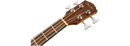 Fender CB-60SCE Acoustic Bass