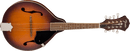 Fender PM-180E Mandolin, Walnut Fingerboard, Aged Cognac Burst PM180E