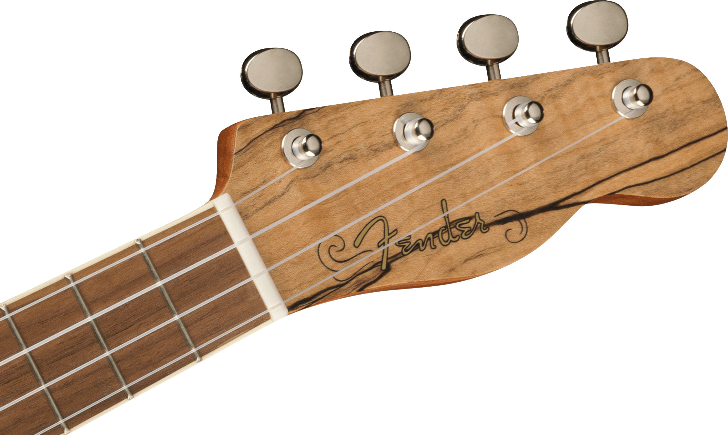 Fender  Zuma Exotic Concert Ukulele, Walnut Fingerboard, Spalted Maple