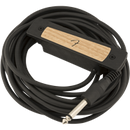 Fender Cypress Single-Coil Acoustic Soundhole Pickup, Natural