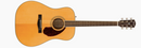 Fender PM-1 STANDARD DREADNOUGHT, NATURAL