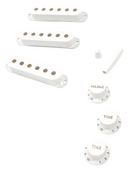 PURE VINTAGE '50S STRATOCASTER® ACCESSORY KIT